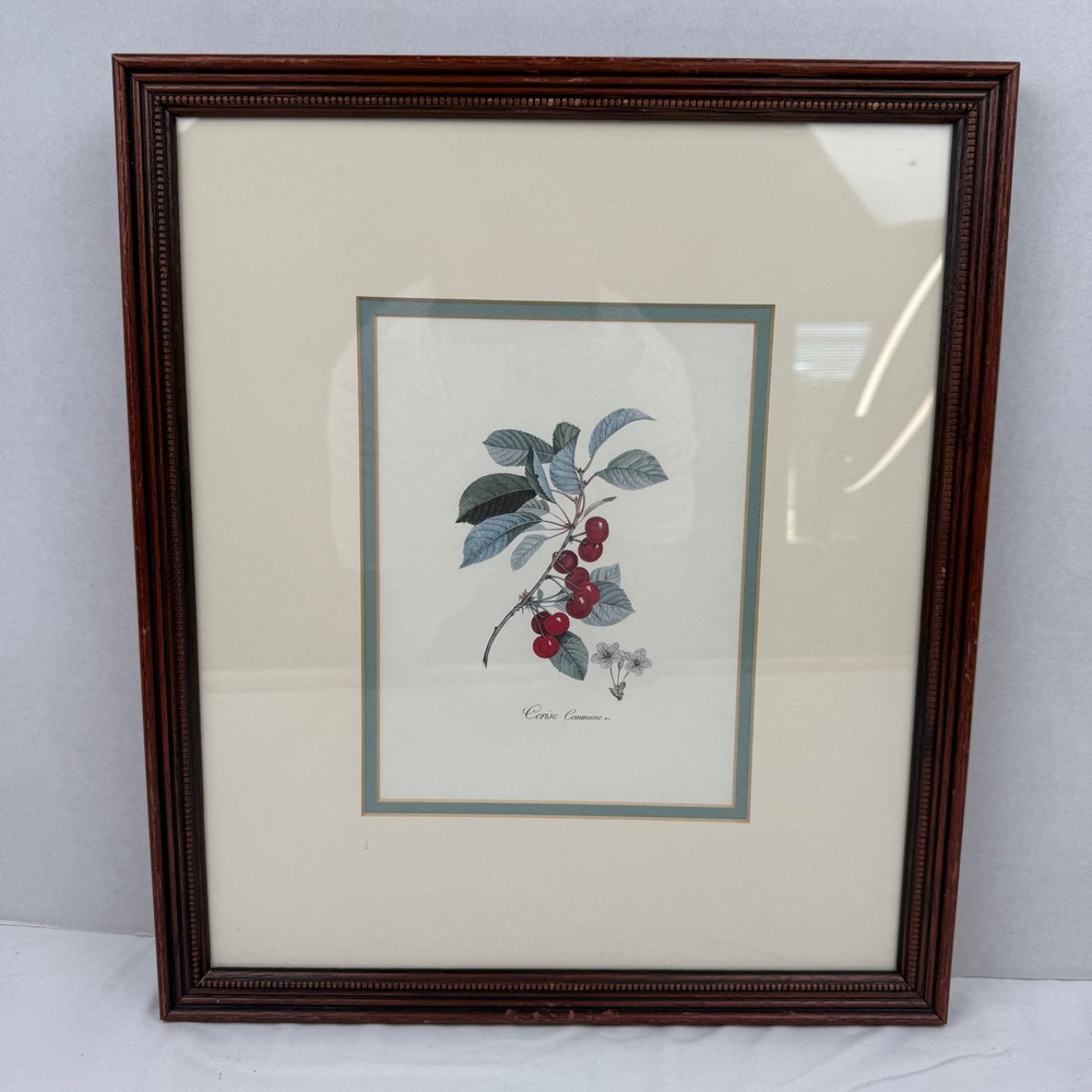 Vintage Cerise Commune Botanical Cherry Print Framed Wall Art 13x15